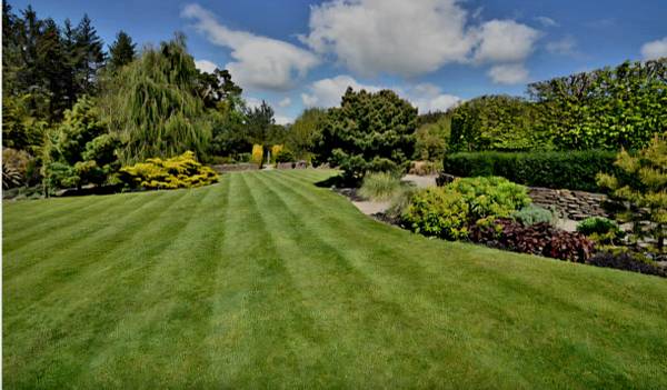 Striped Garden Lawn