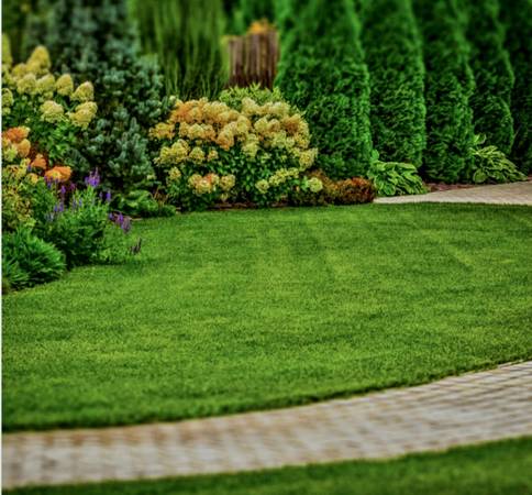 Garden Border & Lawn Detail