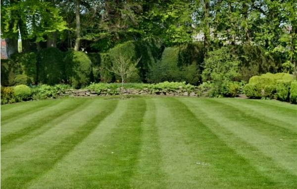 Precision Stripe Finish