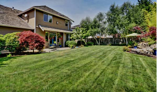 Backyard Property Care